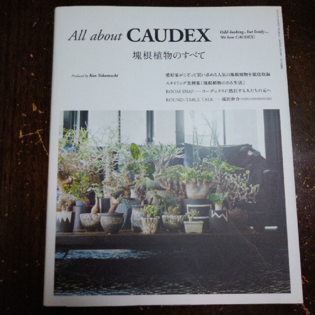 Ａｌｌ　ａｂｏｕｔ　ＣＡＵＤＥＸ 塊根植物のすべて エンタメ/ホビーの本(趣味/スポーツ/実用)の商品写真