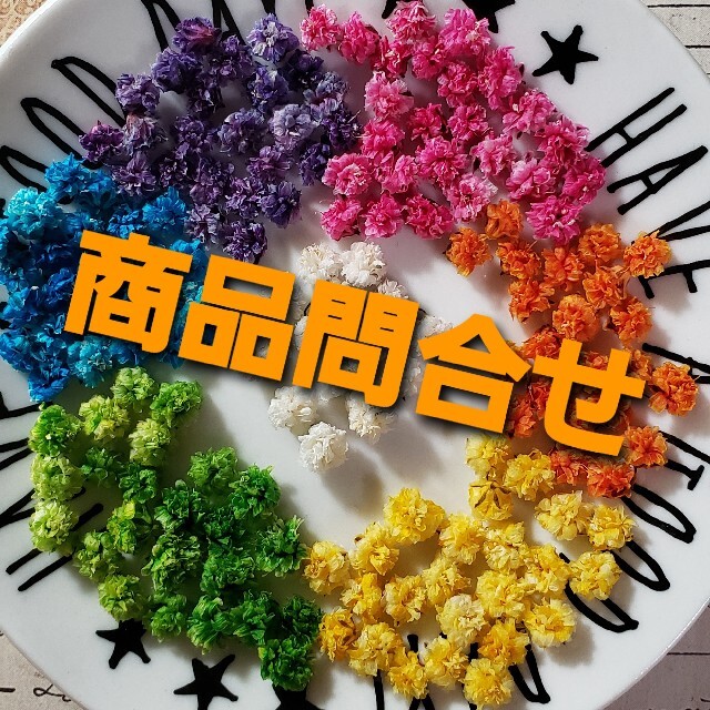 早い者勝ち かすみ草 各種パーツ - kajal.pl
