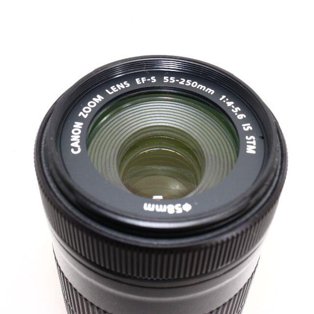 CANON EF-S 55-250mm F4-5.6 IS STM
