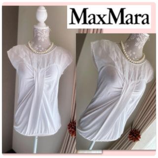 マックスマーラ(Max Mara)の♡マックスマーラ　コットンカットソー♡(カットソー(半袖/袖なし))