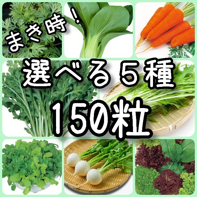 【野菜の種】5種 150粒 種子 食品/飲料/酒の食品(野菜)の商品写真