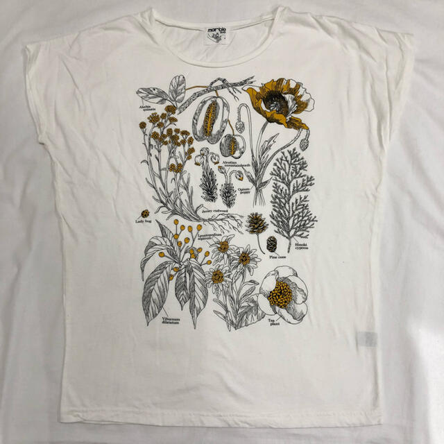 新品 マーブルシュッド marble SUD 植物柄 半袖 カットソー Tシャツ カットソー(半袖+袖なし)