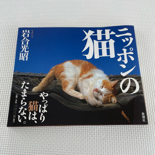 【超美品】「ニッポンの猫」 岩合光昭　新潮社 エンタメ/ホビーの本(アート/エンタメ)の商品写真