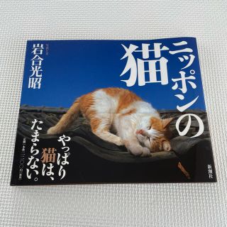 【超美品】「ニッポンの猫」 岩合光昭　新潮社(アート/エンタメ)