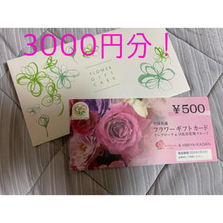 フラワーギフトカード　3000円分　(ショッピング)