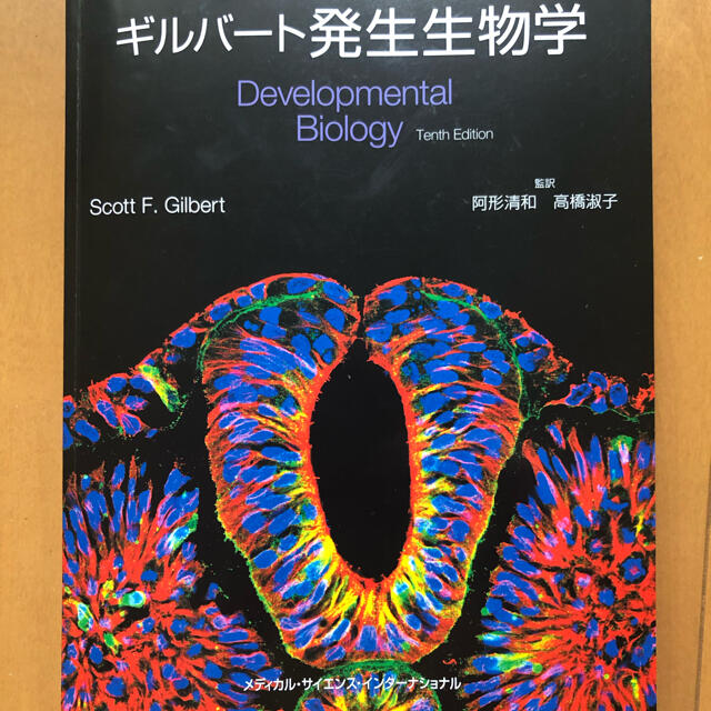 ギルバート発生生物学 エンタメ/ホビーの本(健康/医学)の商品写真