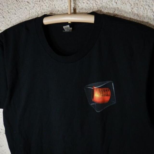 American Apparel(アメリカンアパレル)のo3109　アメアパ　tシャツ　COMSOL MULTIPHYSICS　ロゴ メンズのトップス(Tシャツ/カットソー(半袖/袖なし))の商品写真