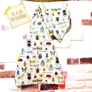 いくりん様✨昆虫図鑑✨100〜110cm相当✨簡単子供エプロン＆三角巾セット(ファッション雑貨)