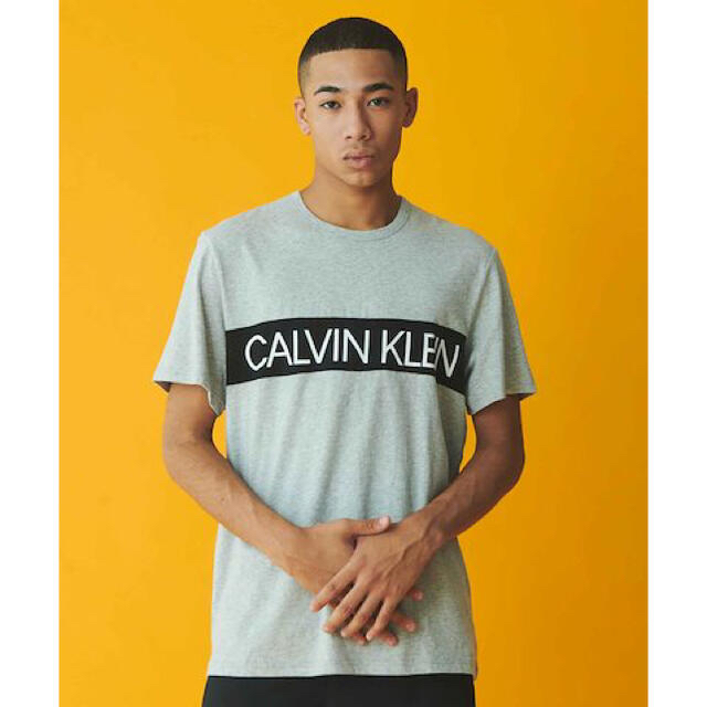 Calvin Klein(カルバンクライン)の最終値下げ！タグ付き新品★カルバンクライン★Tシャツ★グレー★メンズ★S メンズのトップス(Tシャツ/カットソー(半袖/袖なし))の商品写真