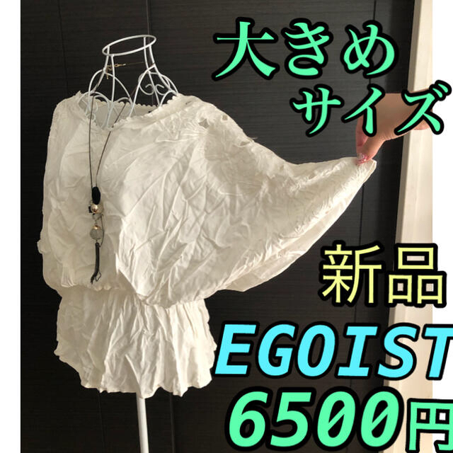 EGOIST(エゴイスト)のEGOIST  刺繍★プルオーバー　大きめサイズ レディースのトップス(シャツ/ブラウス(半袖/袖なし))の商品写真