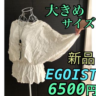 エゴイスト(EGOIST)のEGOIST  刺繍★プルオーバー　大きめサイズ(シャツ/ブラウス(半袖/袖なし))