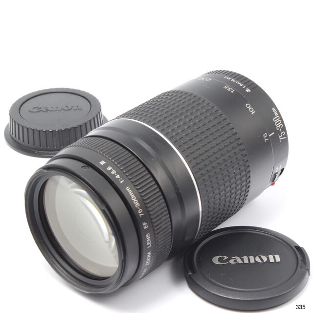 Canon キヤノン 望遠レンズ 迫力の300㎜ EF75-300mmⅡ - レンズ(ズーム)