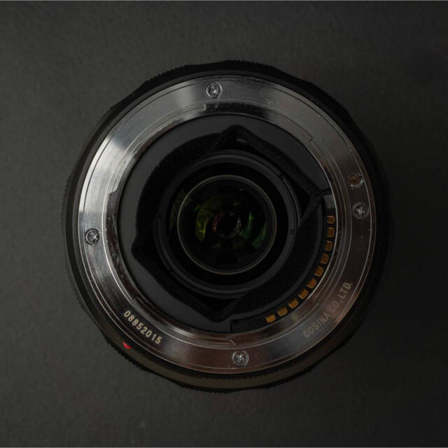 最大64%オフ! 茶製様専用 コシナフォクトレンダー MACRO APO 65mm F2