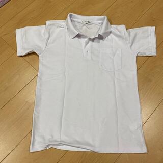 シマムラ(しまむら)の白ポロシャツ(Tシャツ/カットソー)