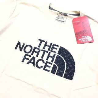 ザノースフェイス(THE NORTH FACE)の新品 正規　レア ＵＳ限定　ノースフェイス　Tシャツ　US Ｓサイズ　ドットロゴ(Tシャツ/カットソー(半袖/袖なし))