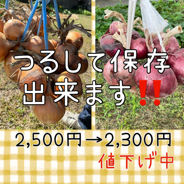 お買い得‼️吊るして保存できる玉ねぎセット売り❗️ 食品/飲料/酒の食品(野菜)の商品写真