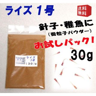 めだか の 餌 エサ◇ライズ１号（針子/微粒子パウダー）３０ｇ◇メダカ えさ④(アクアリウム)