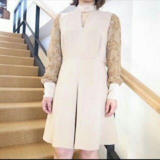 マメ(mame)のmame Tulle Embroidered Sleeve Dress(ひざ丈ワンピース)