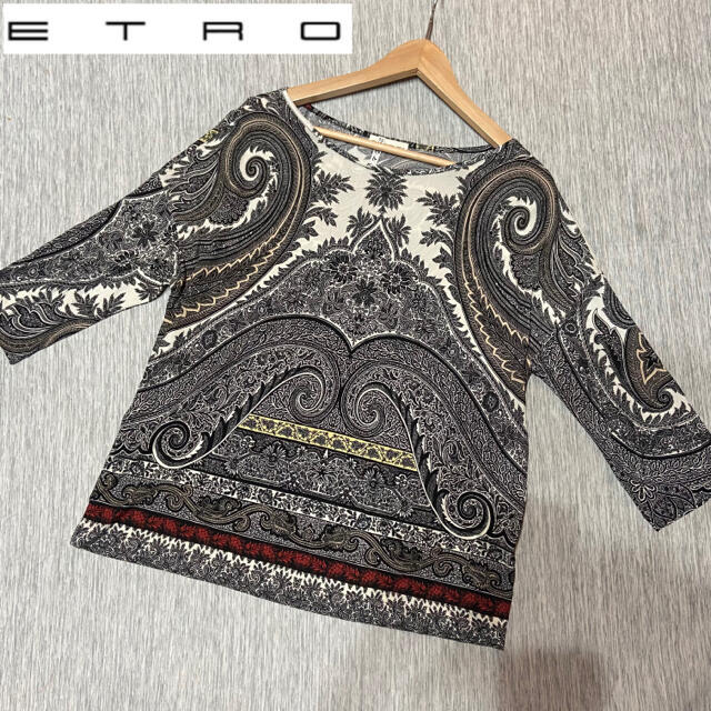 ETRO(エトロ)のvivian様専用❤️ありがとうございます❤️ レディースのトップス(カットソー(長袖/七分))の商品写真