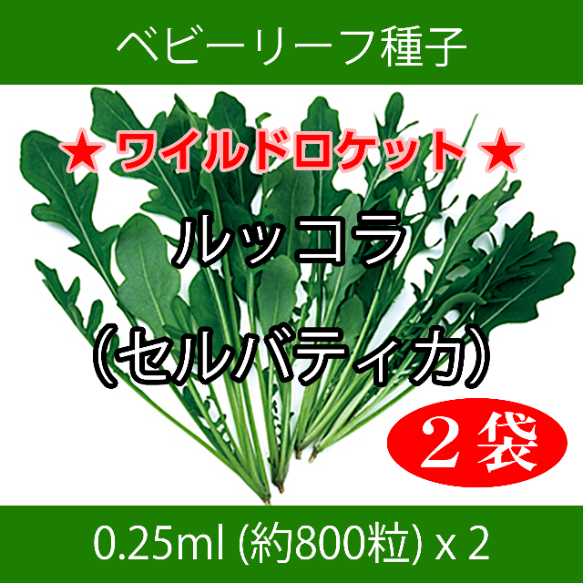 ベビーリーフ種子 B-30 ルッコラ（セルバティカ）0.25ml約800粒x2袋 食品/飲料/酒の食品(野菜)の商品写真