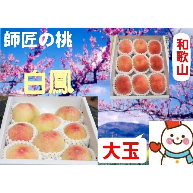 師匠の桃♥和歌山の大玉白鳳中箱♥健康農家雪だるまから 食品/飲料/酒の食品(フルーツ)の商品写真