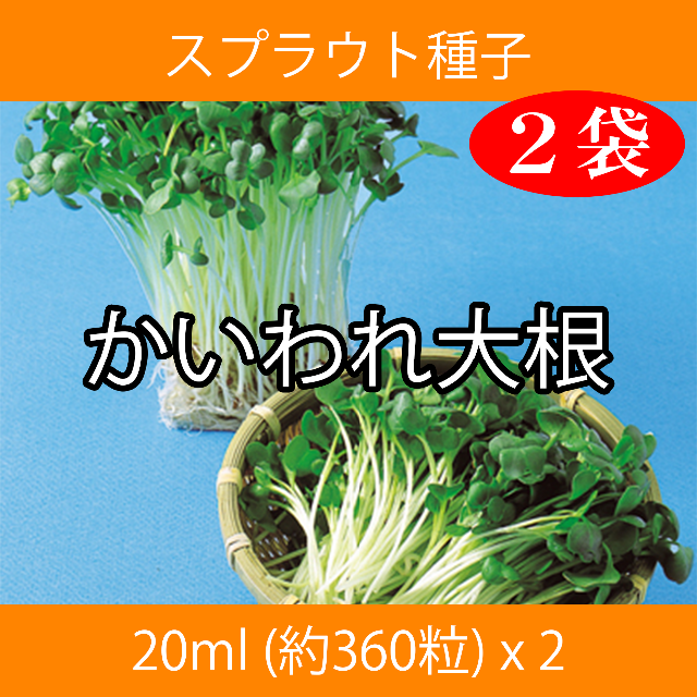 スプラウト種子 S-11 かいわれ大根 20ml 約360粒 x 2袋 食品/飲料/酒の食品(野菜)の商品写真