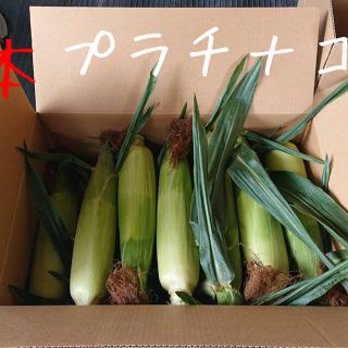 もーちゃん様専用(野菜)