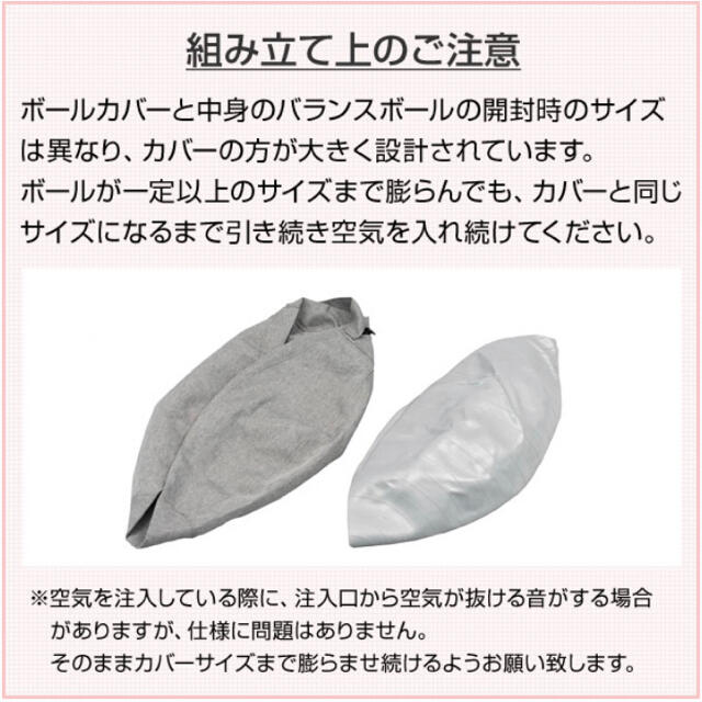 山善(ヤマゼン)の【ほぼ新品】山善 バランスボール 55cm 台座 カバー付き スポーツ/アウトドアのトレーニング/エクササイズ(トレーニング用品)の商品写真