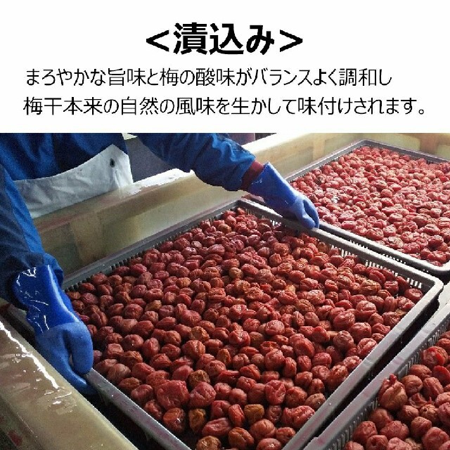 はちみつ梅　和歌山県産南高梅　つぶれ梅300g×10