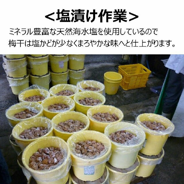 はちみつ梅　和歌山県産南高梅　つぶれ梅300g×10