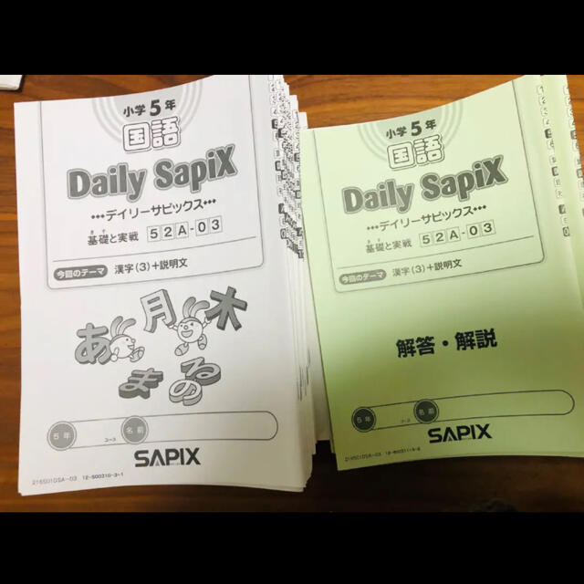 ブランドのギフト (2021年度版) 国語 小学5年生 Sapix DailySapix他 1 ブランドのギフト (2021年度版) 国語 小学5年生 Sapix DailySapix他 1