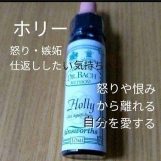 ニールズヤード(NEAL'S YARD)の15.ホリー (10ml)バッチフラワーエッセンス エインズワース社(その他)