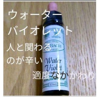 ニールズヤード(NEAL'S YARD)のウォーターバイオレット（10ml ）フラワーエッセンスバッチフラワーレメディ(その他)