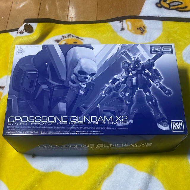 RG 1/144 クロスボーン・ガンダムX2