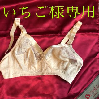 シャルレ(シャルレ)のシャルレ　サンプル品　下着(ブラ)