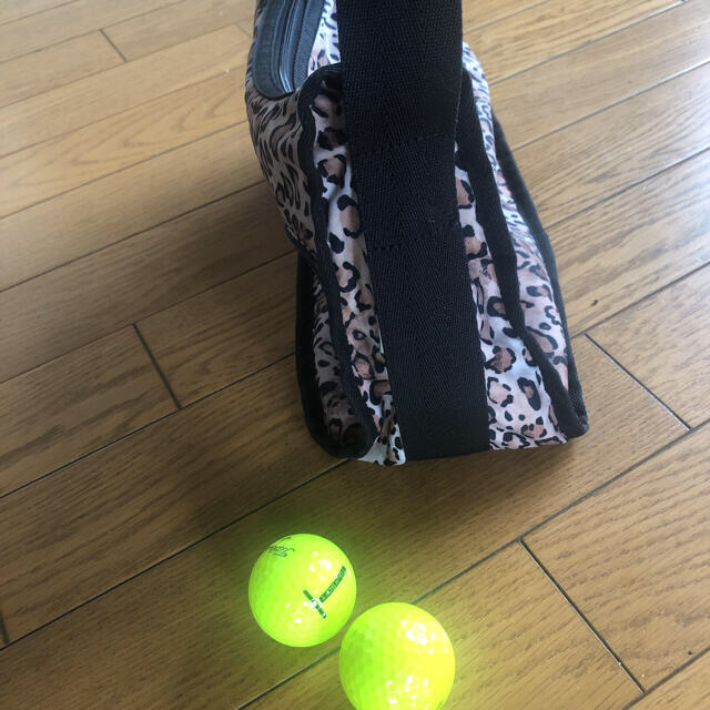 LeSportsac(レスポートサック)の【ヒョウ柄】LeSportsacショルダーバッグ レディースのバッグ(ショルダーバッグ)の商品写真