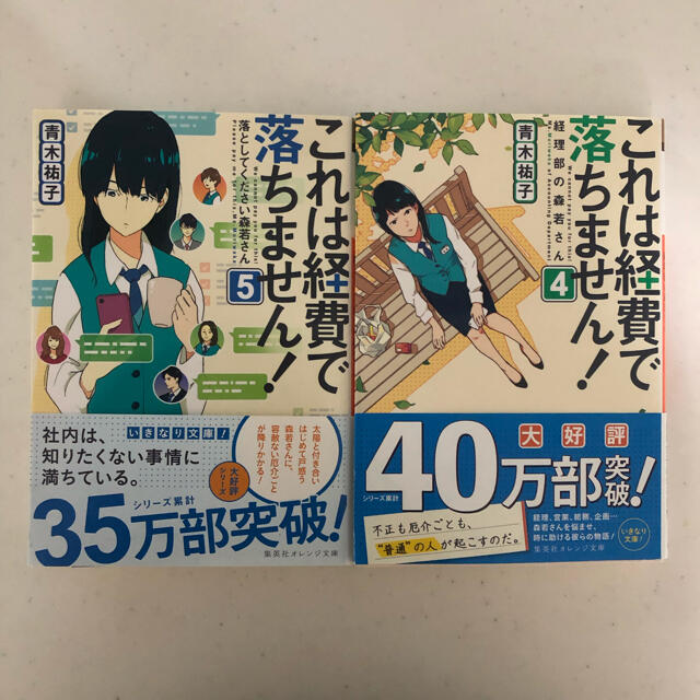 これは経費で落ちません 4巻5巻 エンタメ/ホビーの本(文学/小説)の商品写真