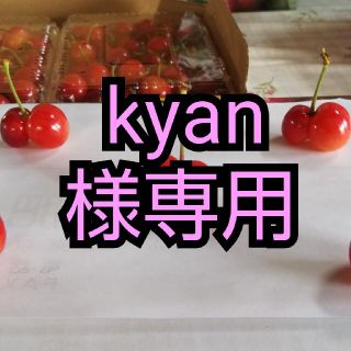 ♥kyan♥様専用です(フルーツ)