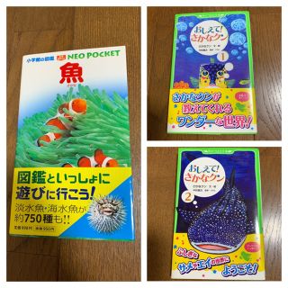 魚ネオポケット＆おしえて！さかなクン１•２巻セット(絵本/児童書)