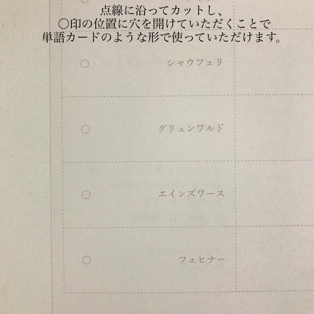 心理学人名暗記カード、精神疾患まとめプリントセット！ 臨床心理士、公認心理師試験 エンタメ/ホビーの本(語学/参考書)の商品写真