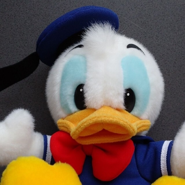 ドナルドダック - 東京ディズニーランド ドナルド ぬいぐるみの ドナルドダック - 東京ディズニーランド ドナルド ぬいぐるみの