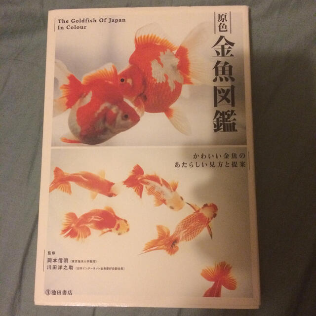 原色金魚図鑑 かわいい金魚のあたらしい見方と提案の通販 By パスタ S Shop ラクマ 原色金魚図鑑 かわいい金魚のあたらしい見方と提案の通販 By パスタ S Shop ラクマ