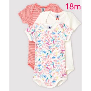 プチバトー(PETIT BATEAU)のプチバトー　新品　半袖　ボディ　3枚組　ロンパース　18m/81cm(ロンパース)