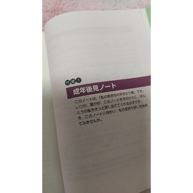 ガイドブック成年後見制度 そのしくみと利用法 エンタメ/ホビーの本(人文/社会)の商品写真