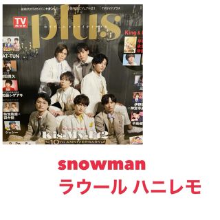 TVガイドplus snowman ラウール(ハニレモ)切り抜き 全10ページ(アイドルグッズ)