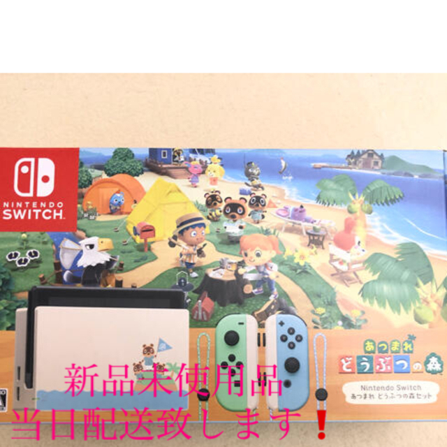 新品未使用 Nintendo Switch 本体 あつまれどうぶつの森 セット エンタメ/ホビーのゲームソフト/ゲーム機本体(家庭用ゲーム機本体)の商品写真