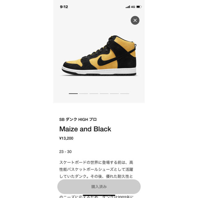 NIKE(ナイキ)のNIKE SB DUNK HIGHプロ　MAIZE and BLACK 28cm メンズの靴/シューズ(スニーカー)の商品写真