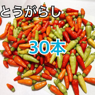沖縄県産島とうがらし　30本(野菜)