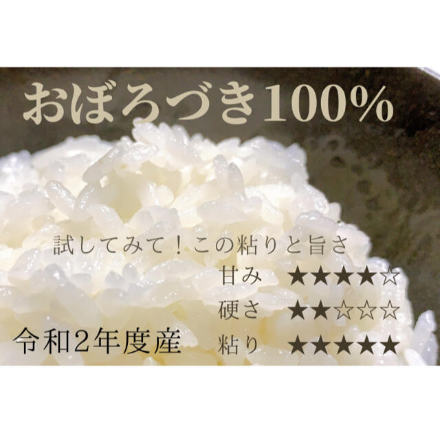 希少価値】食べてみて北海道米っ　米/穀物　令和2年度産おぼろづき　白米10kg