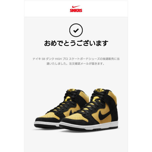 NIKE ナイキ　ダンク　SB ハイスニーカー